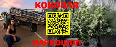 дмт Будённовск